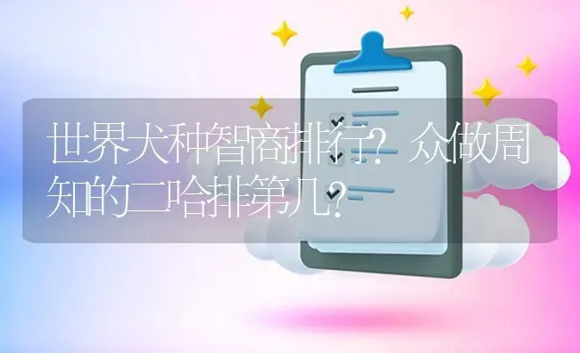 史宾格犬多大算成年？ | 动物养殖问答
