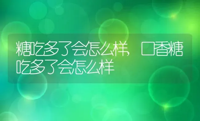 糖吃多了会怎么样,口香糖吃多了会怎么样 | 宠物百科知识