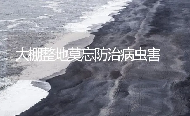 大棚整地莫忘防治病虫害 | 海水养殖技术