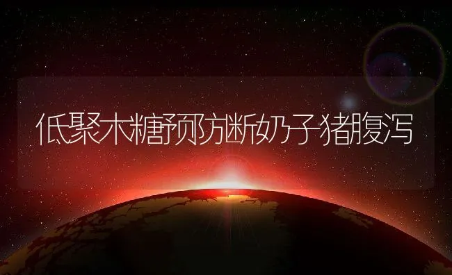 南美白对虾的病害防治技术（四） | 海水养殖技术