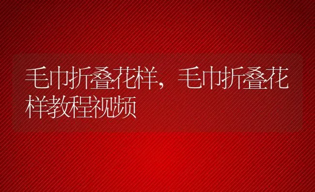 毛巾折叠花样,毛巾折叠花样教程视频 | 宠物百科知识