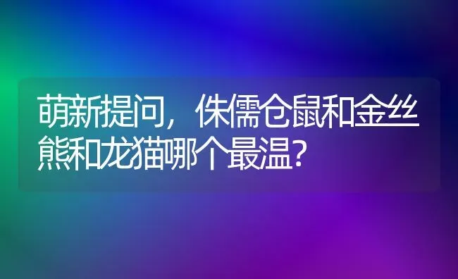 萌新提问，侏儒仓鼠和金丝熊和龙猫哪个最温？ | 动物养殖问答