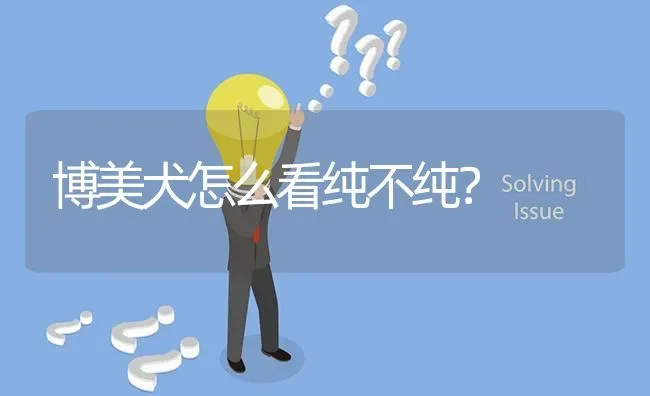 不纯的哈士奇是和谁混的？ | 动物养殖问答