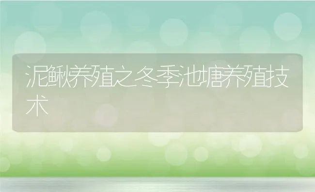 泥鳅养殖之冬季池塘养殖技术 | 动物养殖学堂