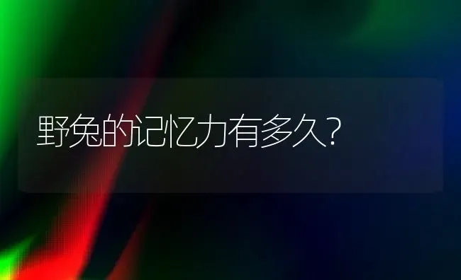 野兔的记忆力有多久？ | 动物养殖问答