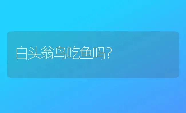 白头翁鸟吃鱼吗？ | 动物养殖问答