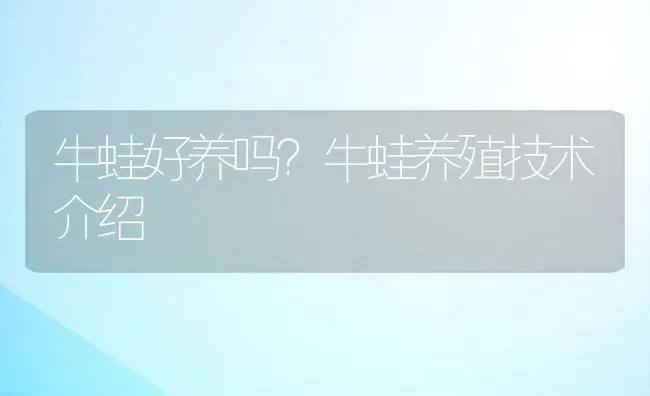 牛蛙好养吗？牛蛙养殖技术介绍 | 动物养殖百科