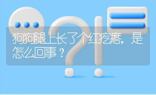 狗狗腿上长了个红疙瘩，是怎么回事？ | 动物养殖问答