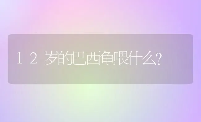 12岁的巴西龟喂什么？ | 动物养殖问答