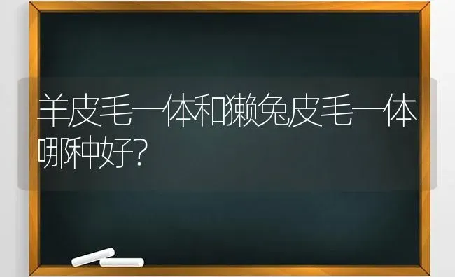 羊皮毛一体和獭兔皮毛一体哪种好？ | 动物养殖问答