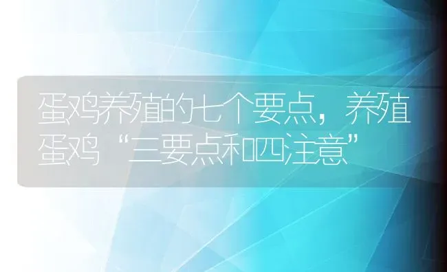 蛋鸡养殖的七个要点，养殖蛋鸡“三要点和四注意” | 动物养殖教程