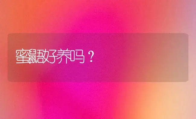 蜜鼯好养吗？ | 动物养殖问答