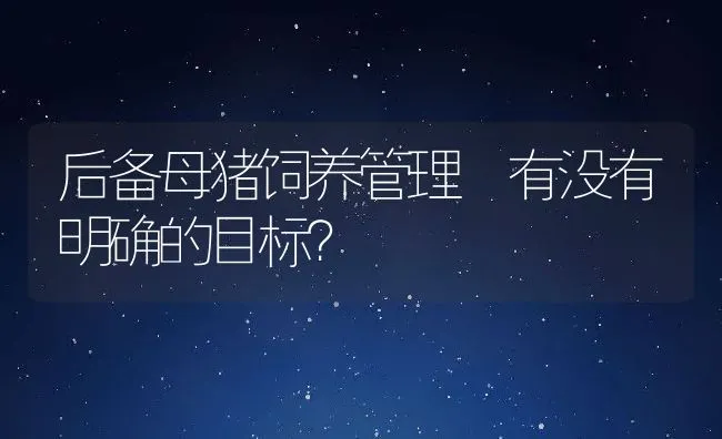 后备母猪饲养管理 有没有明确的目标？ | 动物养殖学堂