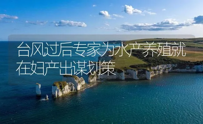 小塘活水快速养草鱼法 | 海水养殖技术