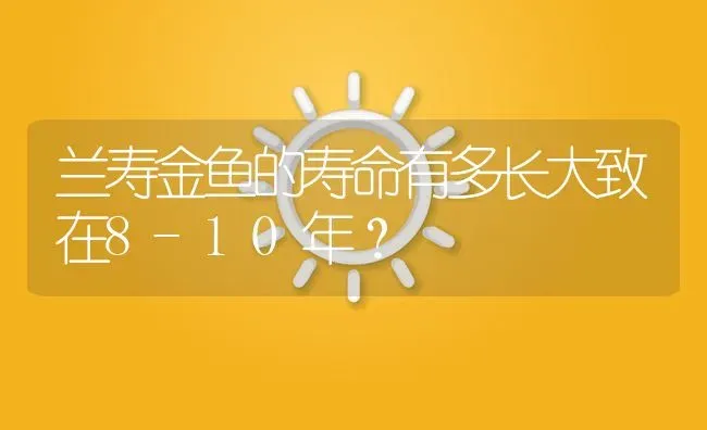 兰寿金鱼的寿命有多长大致在8-10年？ | 鱼类宠物饲养