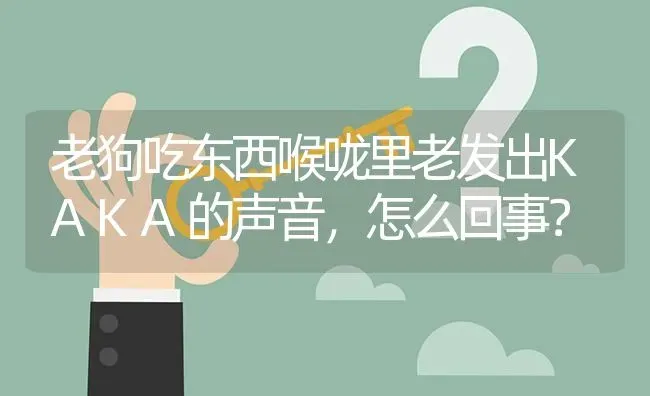 老狗吃东西喉咙里老发出KAKA的声音，怎么回事？ | 动物养殖问答