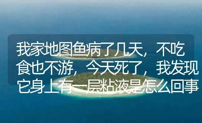 我家地图鱼病了几天，不吃食也不游，今天死了，我发现它身上有一层粘液是怎么回事？ | 鱼类宠物饲养