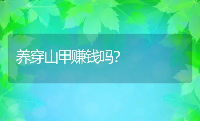 养穿山甲赚钱吗？ | 动物养殖百科