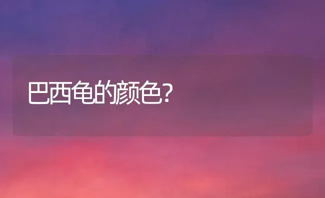 巴西龟的颜色？ | 动物养殖问答