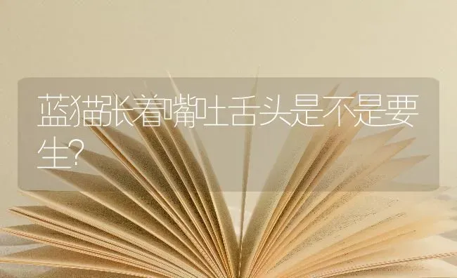 我家有一只类似于白色博美的小狗狗叫什么名字好呢？ | 动物养殖问答