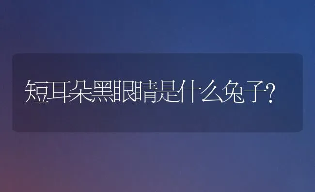 短耳朵黑眼睛是什么兔子？ | 动物养殖问答