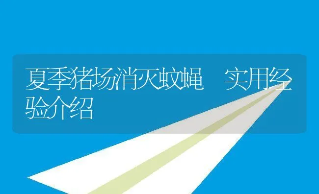 夏季猪场消灭蚊蝇 实用经验介绍 | 动物养殖学堂