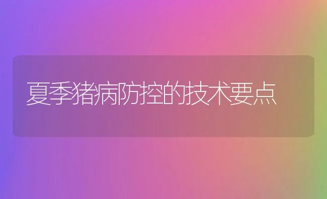 夏季猪病防控的技术要点 | 动物养殖学堂