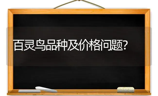 百灵鸟品种及价格问题？ | 动物养殖问答