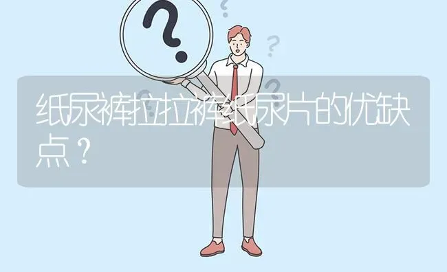 纸尿裤拉拉裤纸尿片的优缺点？ | 动物养殖问答