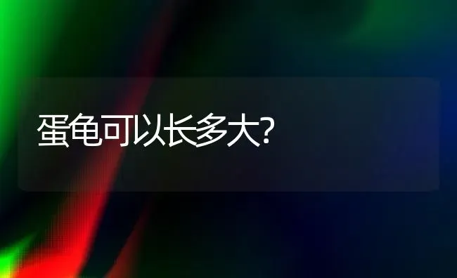 蛋龟可以长多大？ | 动物养殖问答