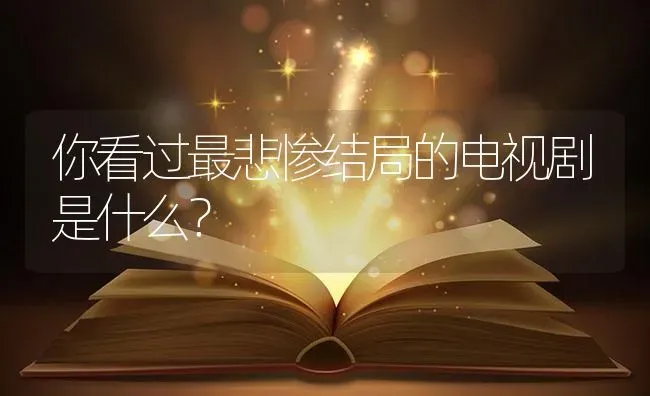 你看过最悲惨结局的电视剧是什么？ | 鱼类宠物饲养