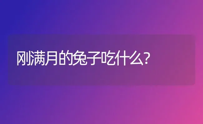 刚满月的兔子吃什么？ | 动物养殖问答