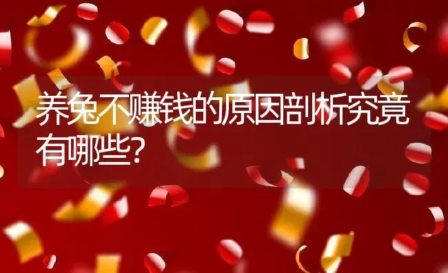 养兔不赚钱的原因剖析究竟有哪些？ | 动物养殖百科