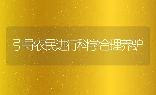 引导农民进行科学合理养驴 | 动物养殖教程