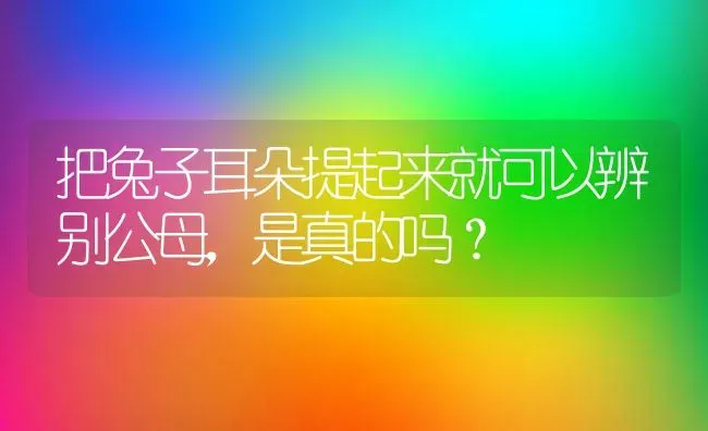 把兔子耳朵提起来就可以辨别公母，是真的吗？ | 动物养殖问答