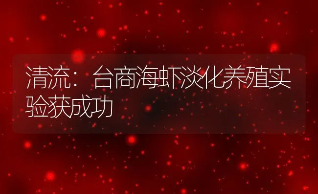 清流：台商海虾淡化养殖实验获成功 | 动物养殖饲料