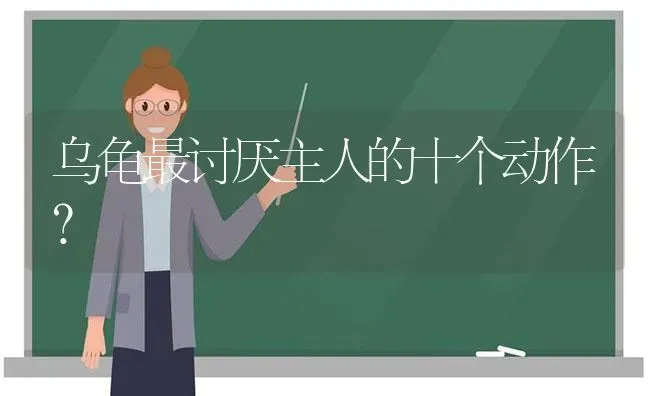 乌龟最讨厌主人的十个动作？ | 动物养殖问答