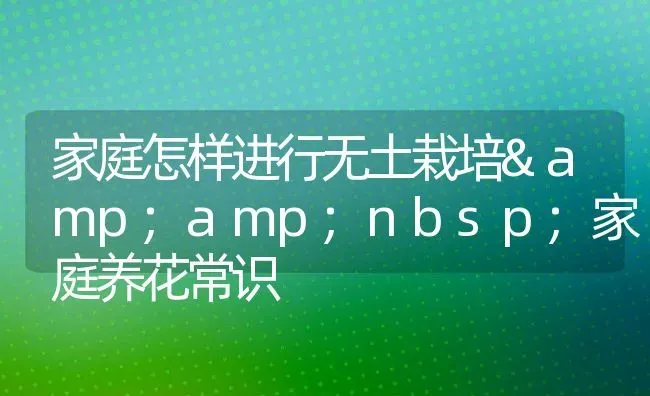 家庭怎样进行无土栽培&nbsp;家庭养花常识 | 动物养殖百科