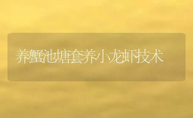 养蟹池塘套养小龙虾技术 | 动物养殖饲料