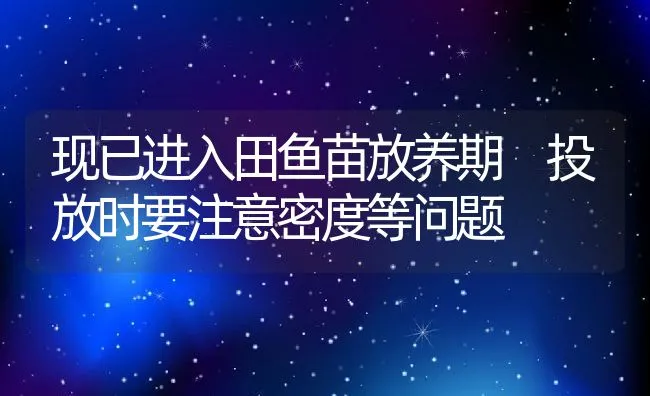 现已进入田鱼苗放养期 投放时要注意密度等问题 | 动物养殖饲料