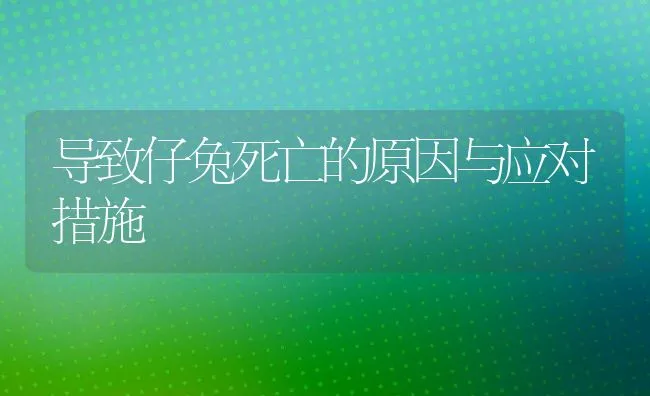 导致仔兔死亡的原因与应对措施 | 水产养殖知识