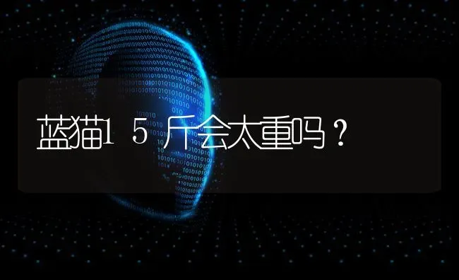 蓝猫15斤会太重吗？ | 动物养殖问答