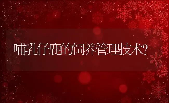 哺乳仔鹿的饲养管理技术？ | 动物养殖教程