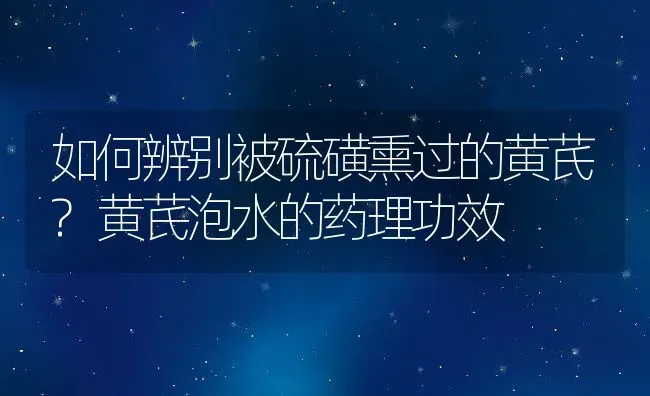 如何辨别被硫磺熏过的黄芪?黄芪泡水的药理功效 | 动物养殖百科