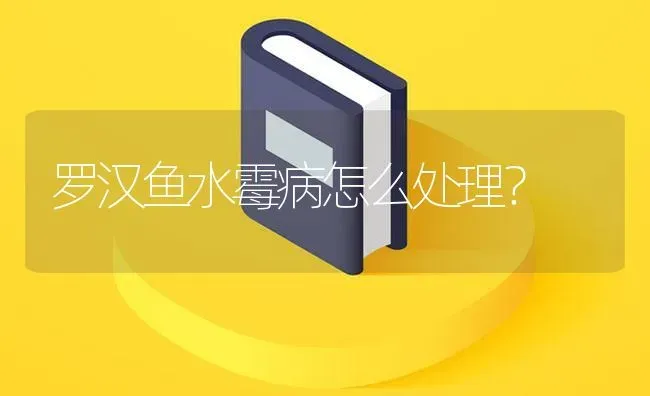 罗汉鱼水霉病怎么处理？ | 鱼类宠物饲养