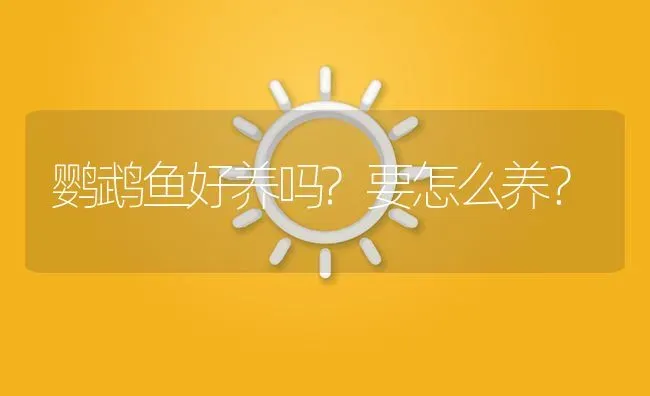 鹦鹉鱼好养吗?要怎么养？ | 鱼类宠物饲养