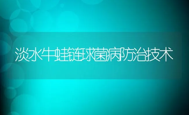 淡水牛蛙链球菌病防治技术 | 动物养殖学堂