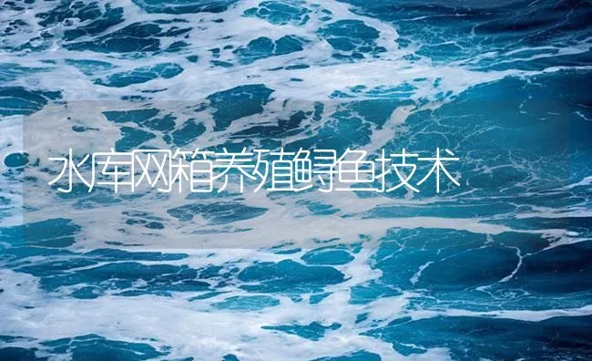 水库网箱养殖鲟鱼技术 | 海水养殖技术