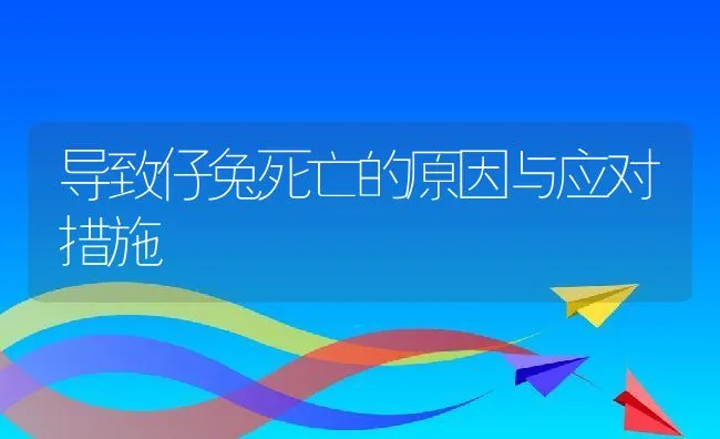 导致仔兔死亡的原因与应对措施 | 动物养殖学堂