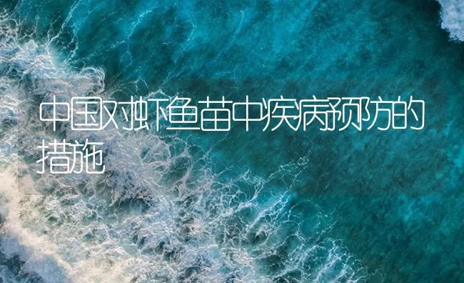 中国对虾鱼苗中疾病预防的措施 | 海水养殖技术